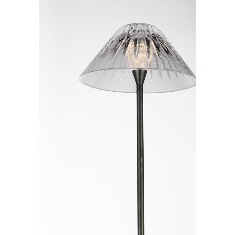 Floor Lamp Brushed Dark Bronze with Radial Cut Crystal Conical Shade