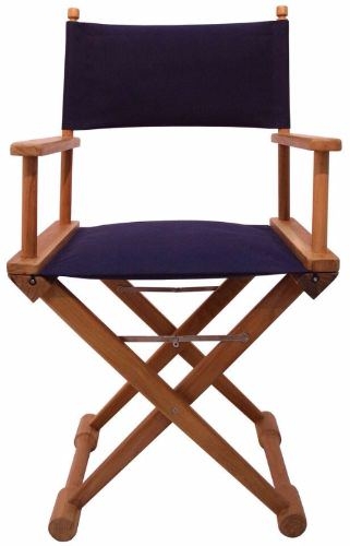 Folding Teak Director's Chair with Navy Canvas and Floor Rails