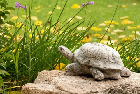 Garden Statue Realistic Tortoise Carved Shell Distressed Stone Gray