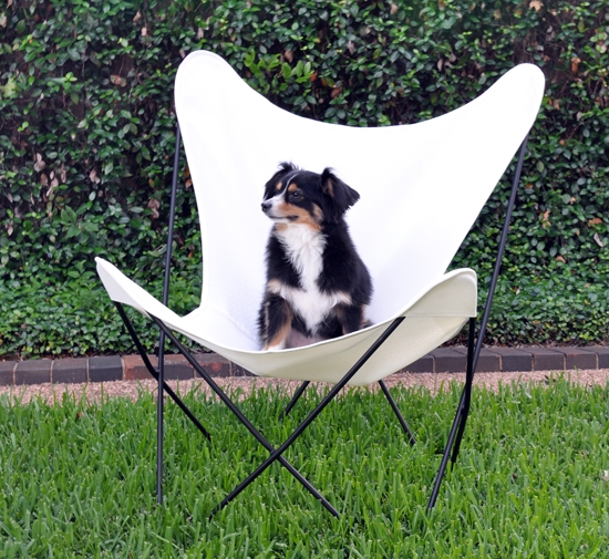 Mid-Century Modern Butterfly Chair with Bright White Sling Seat