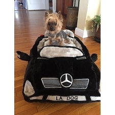 Novelty Dog Bed Car Shaped LA Dog Plate Plush Luxury