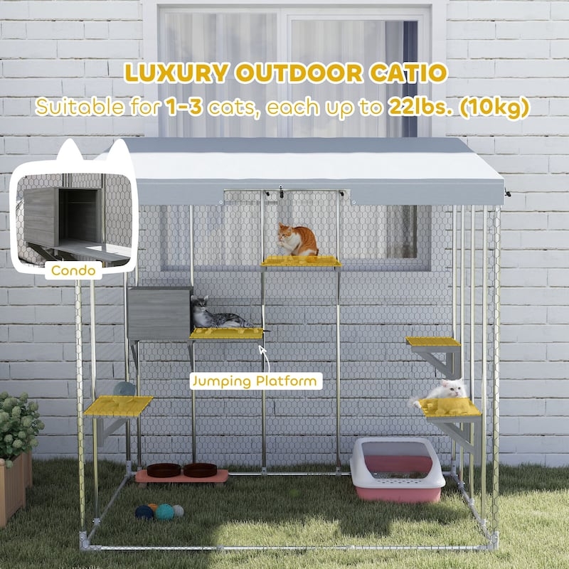 Outdoor Cat Enclosure Galvanized Steel Frame Yellow Platforms