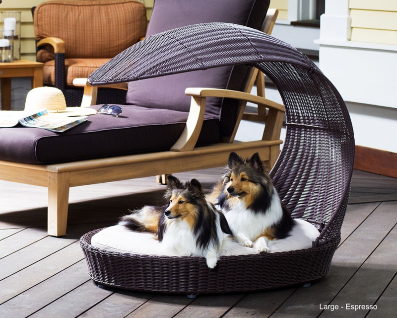 Outdoor Dog Bed With Sculptural Hood, Espresso Wicker Chaise Lounger