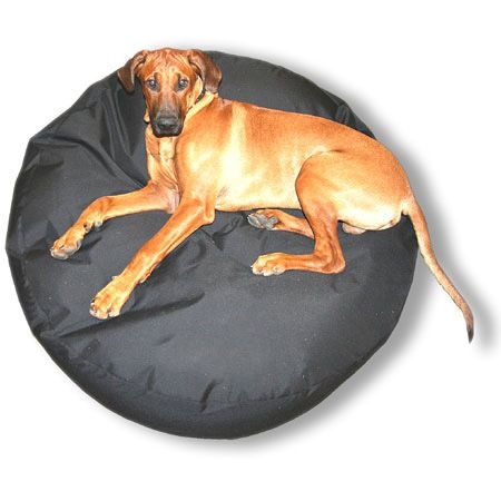 Pet Bean Bag Matte Black Oversized Round Profile