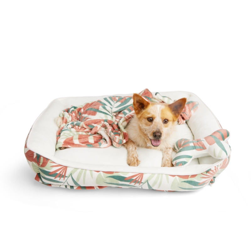 Pet Bed Bundle Leaf Print Bolster Sage Green Boho