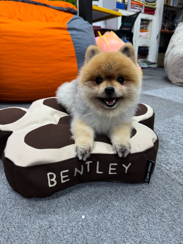 Pet Bed Paw Shape Custom Embroidery Chocolate Brown