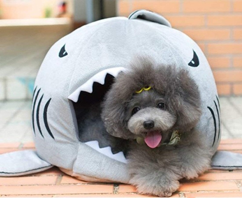 Pet Bed Shark Mouth Plush Novelty Animal Shape Playful