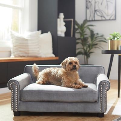 Pet Sofa Charcoal Gray Velvet-Like Nailhead Trim Rolled Arms Dog Couch