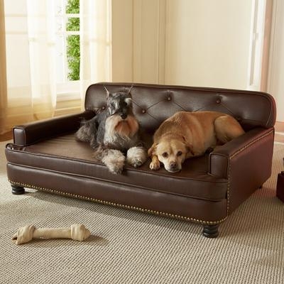 Pet Sofa Chocolate Brown Leather-Like Button Tufting Nailhead Trim Dog Bed