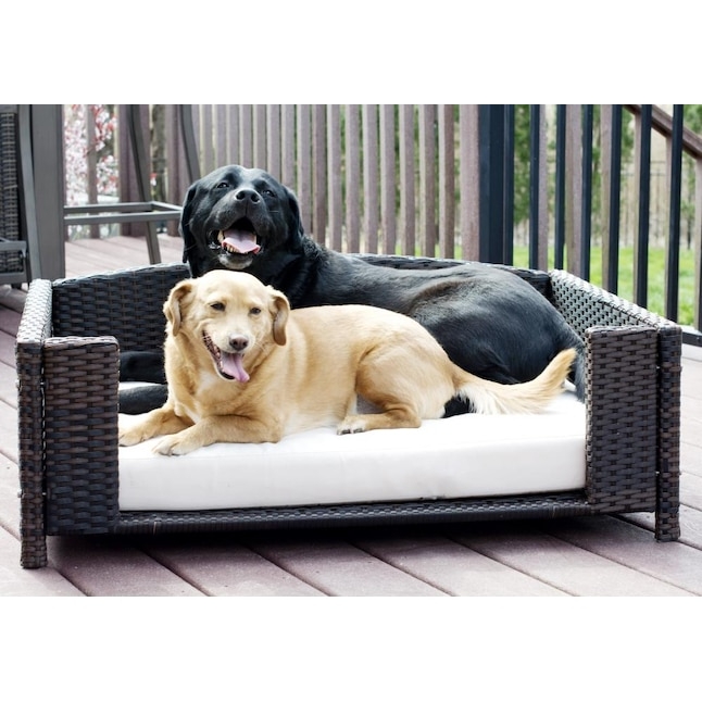 Pet Sofa Crisp White Cushion, Espresso Rattan Woven Wicker Bed