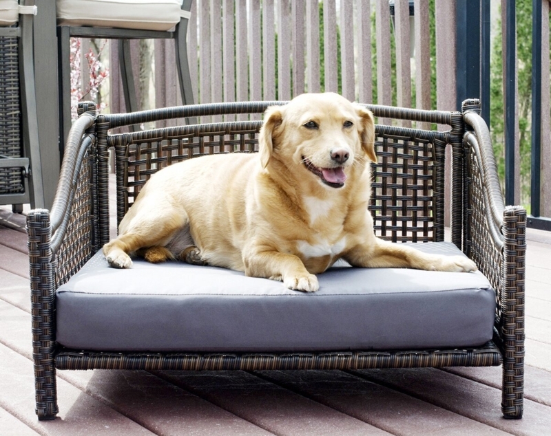 Pet Sofa Curved Back, Elevated Wicker Dog Couch Patio Furniture