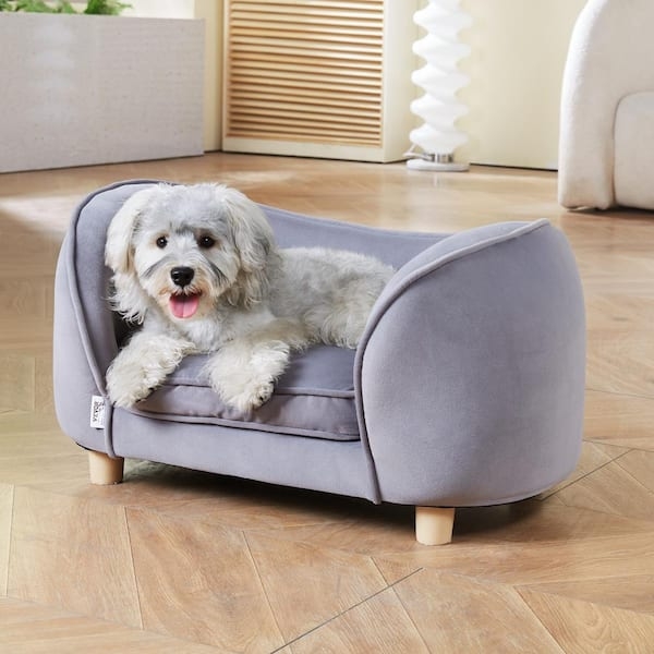 Pet Sofa Dark Grey Velvety Fabric Tapered Legs Curved Back Dog Couch