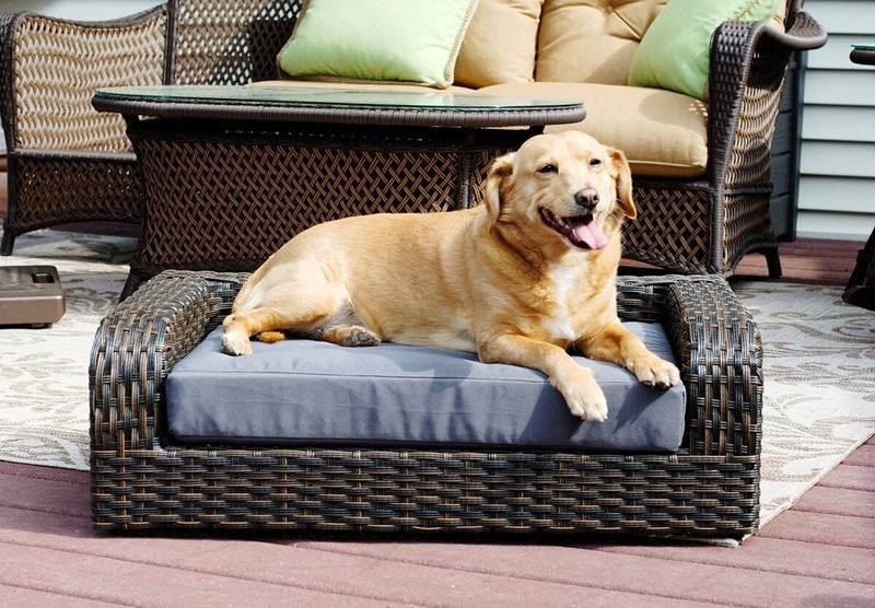 Pet Sofa With Raised Arms, Espresso Woven Wicker Outdoor Dog Bed