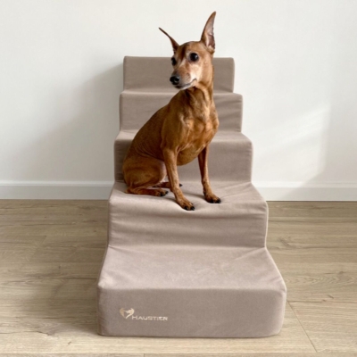 Pet Stairs, Beige Upholstered 5-Step Foam Ladder for Tall Beds
