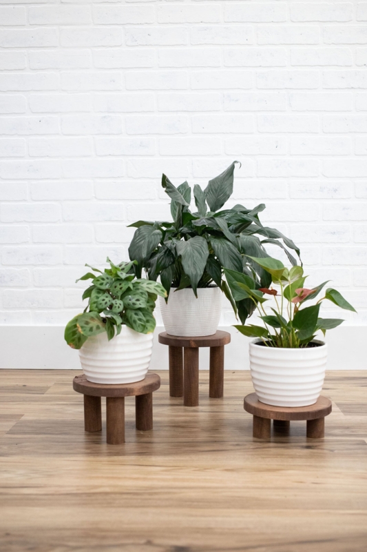 Plant Stand Set of 3 Wood Risers Walnut Brown Cylindrical Legs Tripod