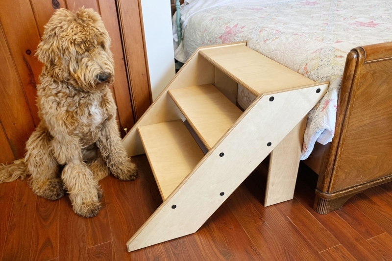 Plywood Pet Steps with Exposed Fasteners Minimalist DIY Design