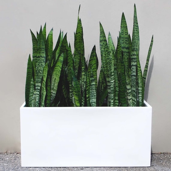 Rectangular Planter Hand Laid Fiberglass Matte White Box