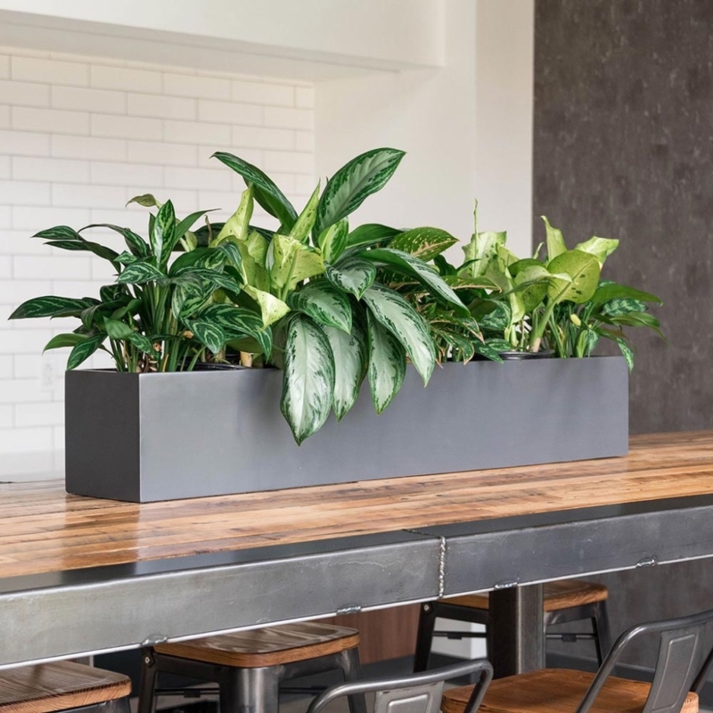 Rectangular Planter Matte Charcoal Fiberglass Trough Shape