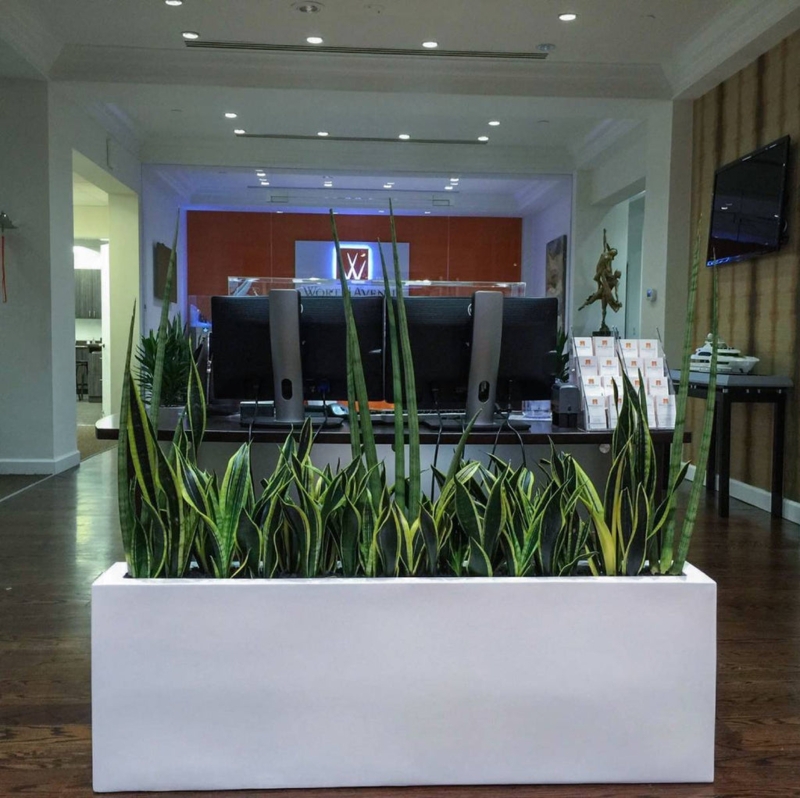 Rectangular Planter Narrow Profile Low Height Stone Like