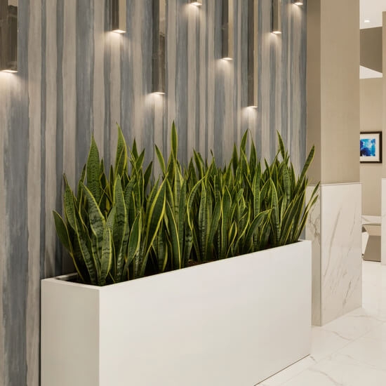 Rectangular Planter Seamless White Finish Contemporary