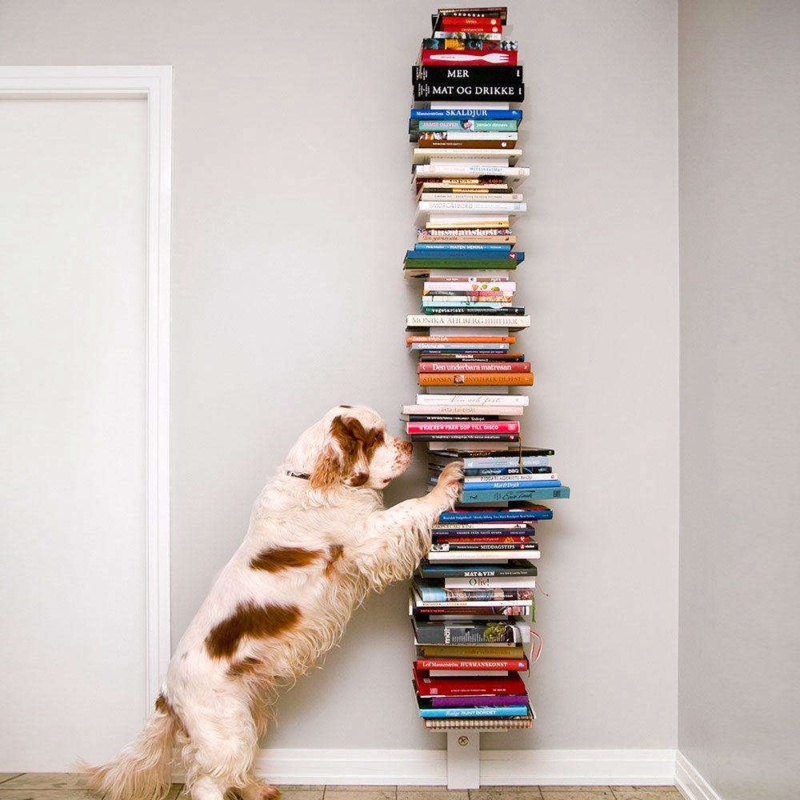 Scandinavian Spine Bookshelf for Horizontal Stacking in Narrow Spaces