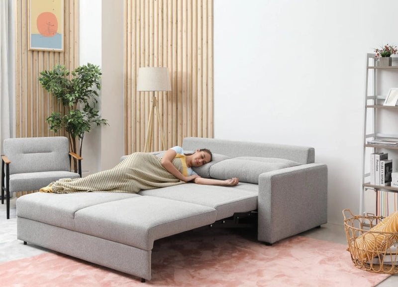 Sofa Bed Light Grey Scandinavian Modern Pull Out Extension