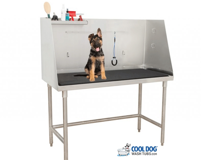 Stainless Steel Grooming Table with Accessory Shelf