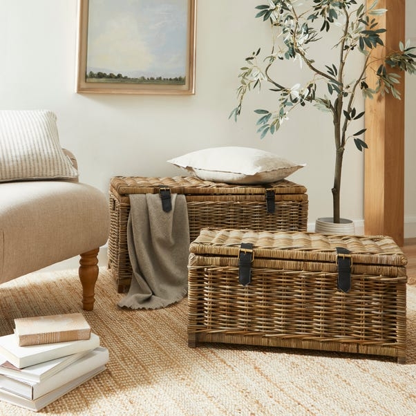 Storage Trunk with Dark Buckle Straps in Coastal Farmhouse Style