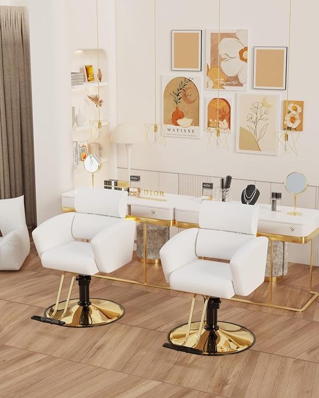 Styling Chair Segmented Backrest Crisp White Hydraulic Pedestal Seating