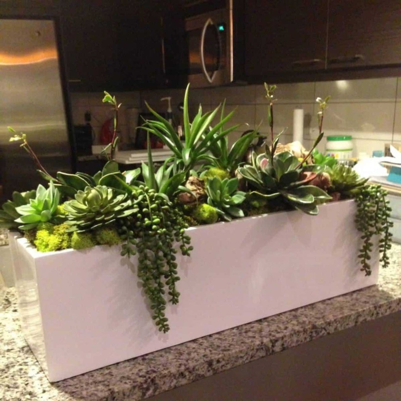Tabletop Planter Glossy Finish Low Profile Composite Trough