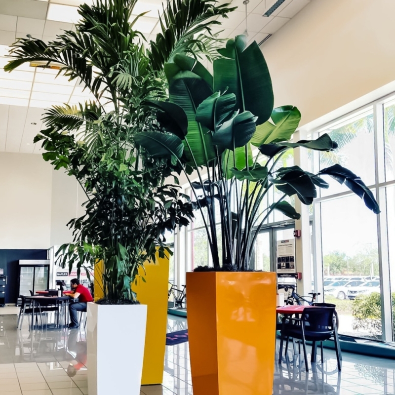 Tall Planter, Vibrant Glossy Tapered Rectangular, Colorful Floor Standing