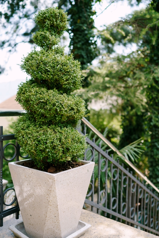 Tapered Geometric Speckled Planter with Spiral Topiary Form