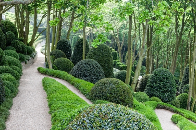 Topiary Garden Landscape with Winding Paths and Sculptural Hedges
