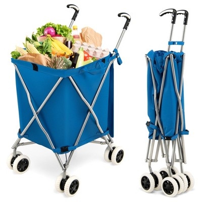 Utility Cart with Cobalt Blue Canvas, Silver Metal Frame, Folding Wagon