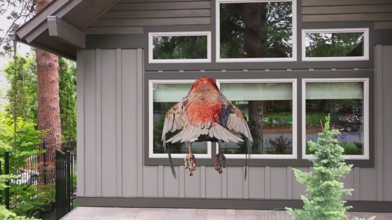 Window Decal Raptor Graphic Bird Deterrent UV Reflective Modern Farmhouse.