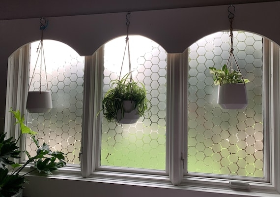 Window Film Hexagon Pattern Frosted Finish Geometric Botanical Modern.