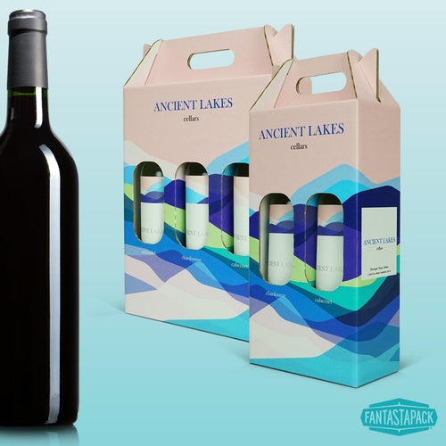 Wine Bottle Carrier Abstract Wave Graphics Coastal Modern Box