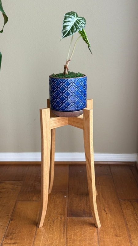 Plant Stand Curved Tapered Legs Handmade Oak 20 Inch Height