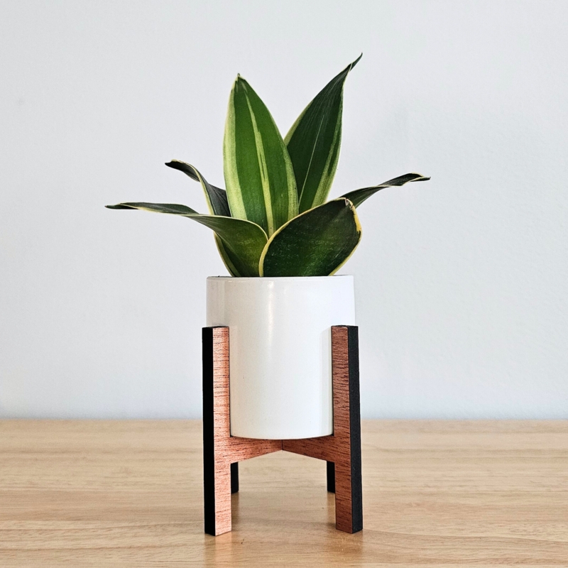Plant Stand in Miniature Scale, X-frame Base Bicolor with Ceramic Pot
