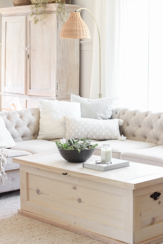 Whitewashed DIY Storage Trunk Coffee Table