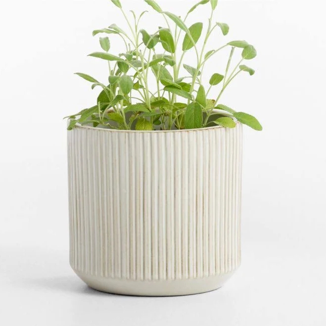 Crate & Barrel Tulu Indoor/Outdoor Ceramic Planter