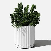 Demi Series Round Planter Veradek Color
