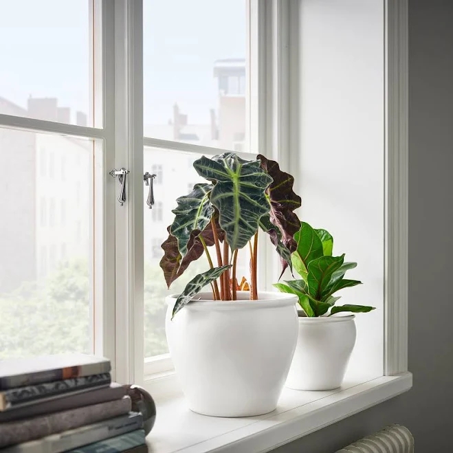 IKEA Plant Pot