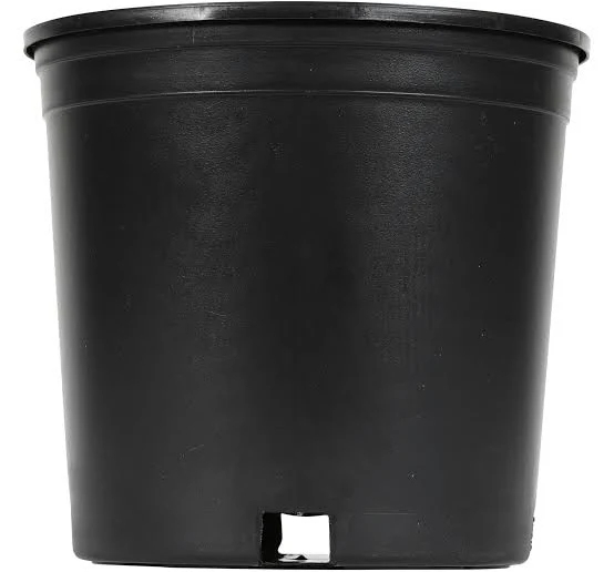 Style Selections Nursery Planter