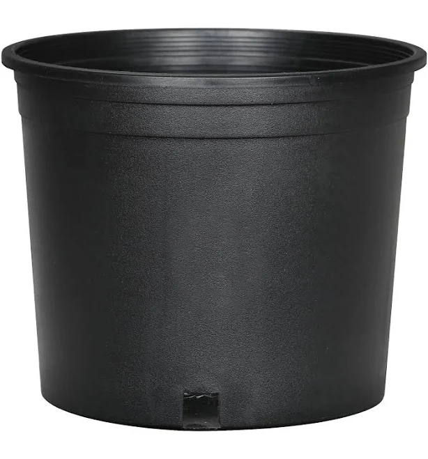 Style Selections Resin Indoor/Outdoor 9.72" x 8.62 mlh0511pkh