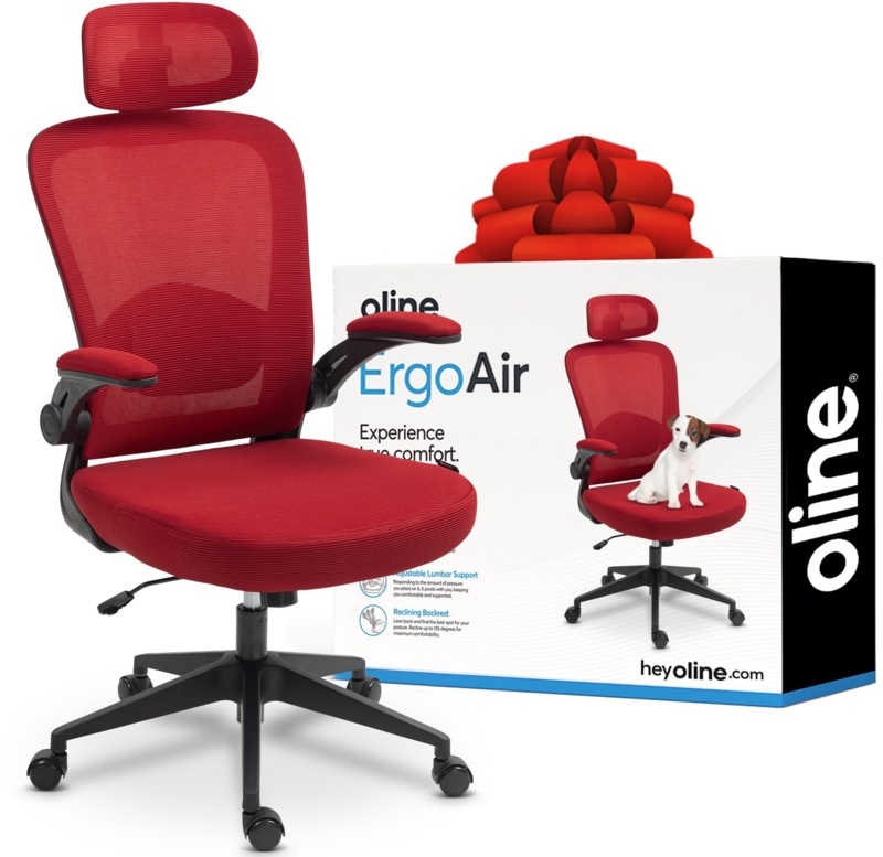 Amazon.com: Oline ErgoAir Ergonomic Office Chair  Adjustable Lumbar Support,  Flip-Up Armrests, Mesh Computer Desk Chair, Swivel Rolling Executive Gaming  Chair for Home & Office (Red) : Home & Kitchen