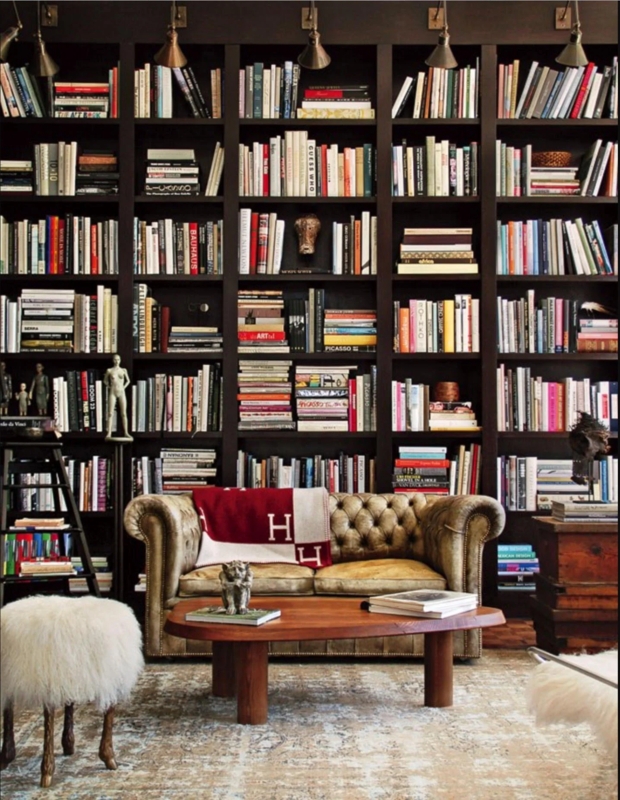 Floor to Ceiling Bookcase with Brass Library Lights, Dark Academia