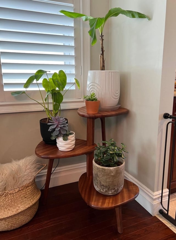 Mid-Century Plant Stand Kidney-Shaped Shelves Tapered Legs