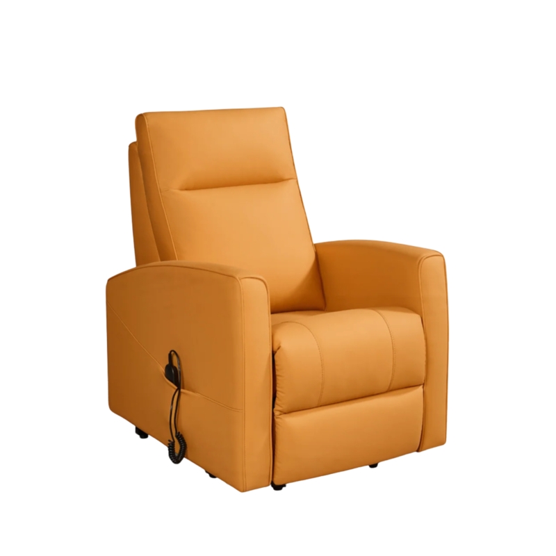 Power Lift Recliner with Wired Remote and Track Arms, Chestnut