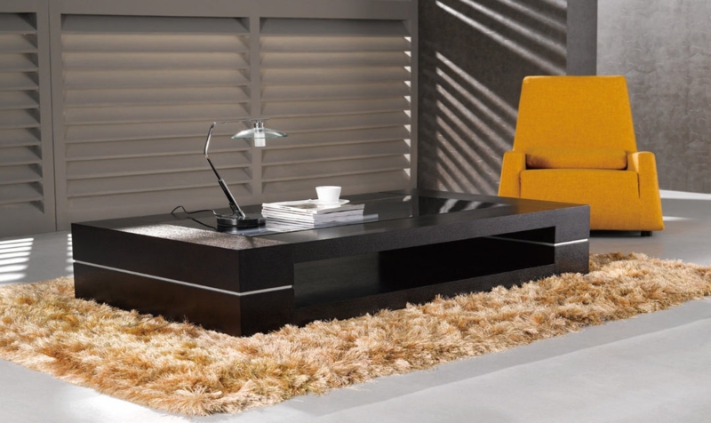 Coffee Table Low Profile Glass Inset Top Metallic Trim Sleek Lounge